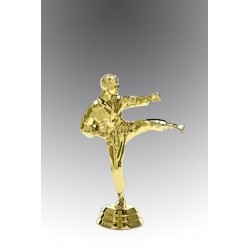 Statueta aurita cel mai curajos karateka