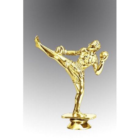 Statueta aurita pentru excelenta in kickboxing
