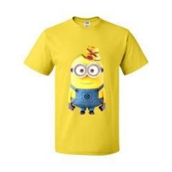 Minion de Maramures