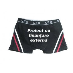 Proiect cu finantare externa