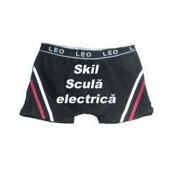 Skil scula electrica