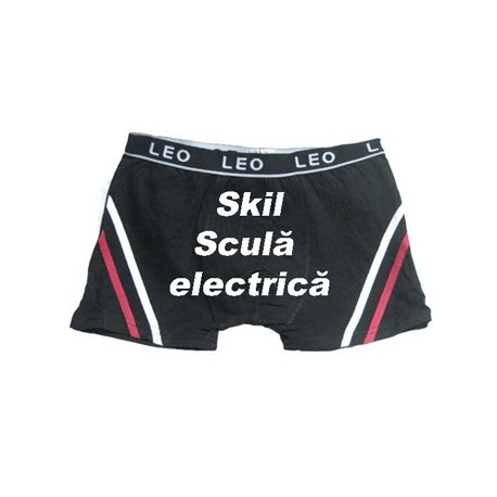 Skil scula electrica